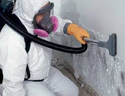 Best Residential Mold Inspection & Testing  in Uhrichsville, OH